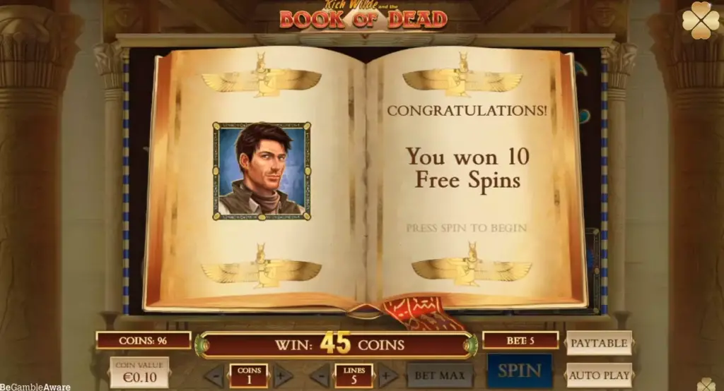 Bonus free spins in Book of Dead